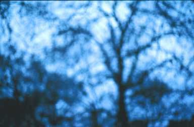 Slackers and Blur Disease|Slackers and Blur Disease