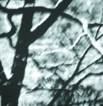 Deprivation Enhances Nature’s Essence