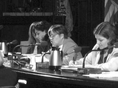 Council Conducts Crystal Hearing