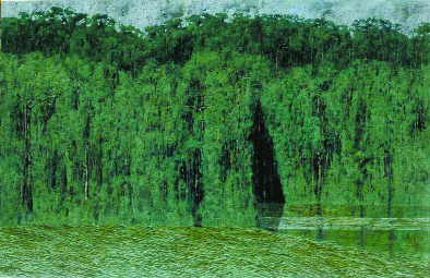 Lush, Magical Landscapes
