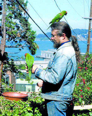 The Zen of Parrot Maintenance