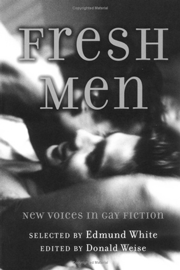 Reclaiming Gay Fiction