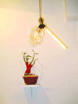 Billyburg Queer Interiors