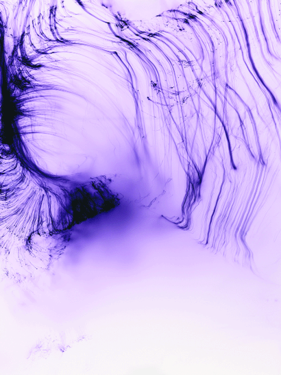 Tillmans’ Photographic Alchemies|Tillmans’ Photographic Alchemies