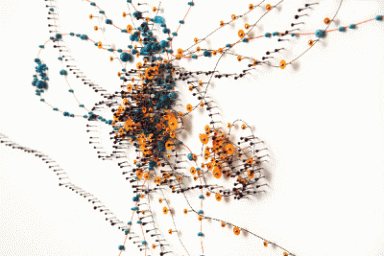 Janice Caswell&rsquo;s Mental Maps