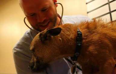 doc4ae9caa6a98bd112749212