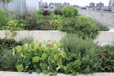 ANDERSON-glwd-garden-IS