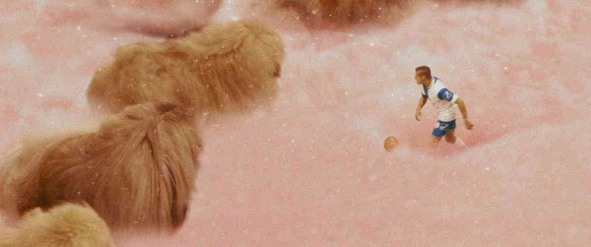 Misadventures in Cloning