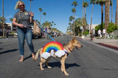 Palm_Springs_Pride_Parade_2019_(49019916698)