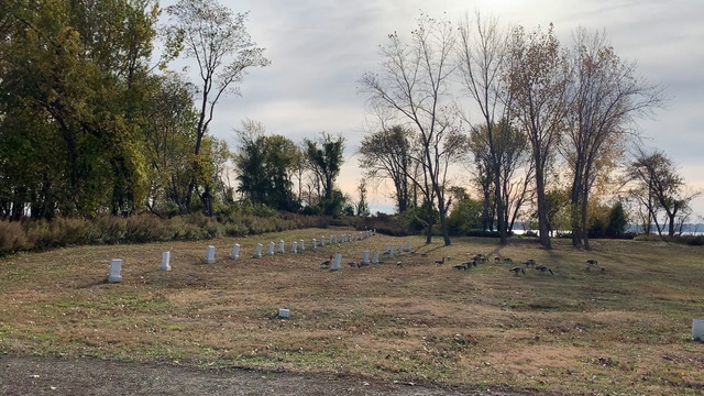 Graves on Hart Island of anonymous individuals who died of AIDS-related complications.