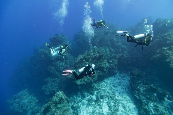 Narwhal Divers exploring Cozumel’s Playacar Reef on the company’s first dive trip to Mexico.