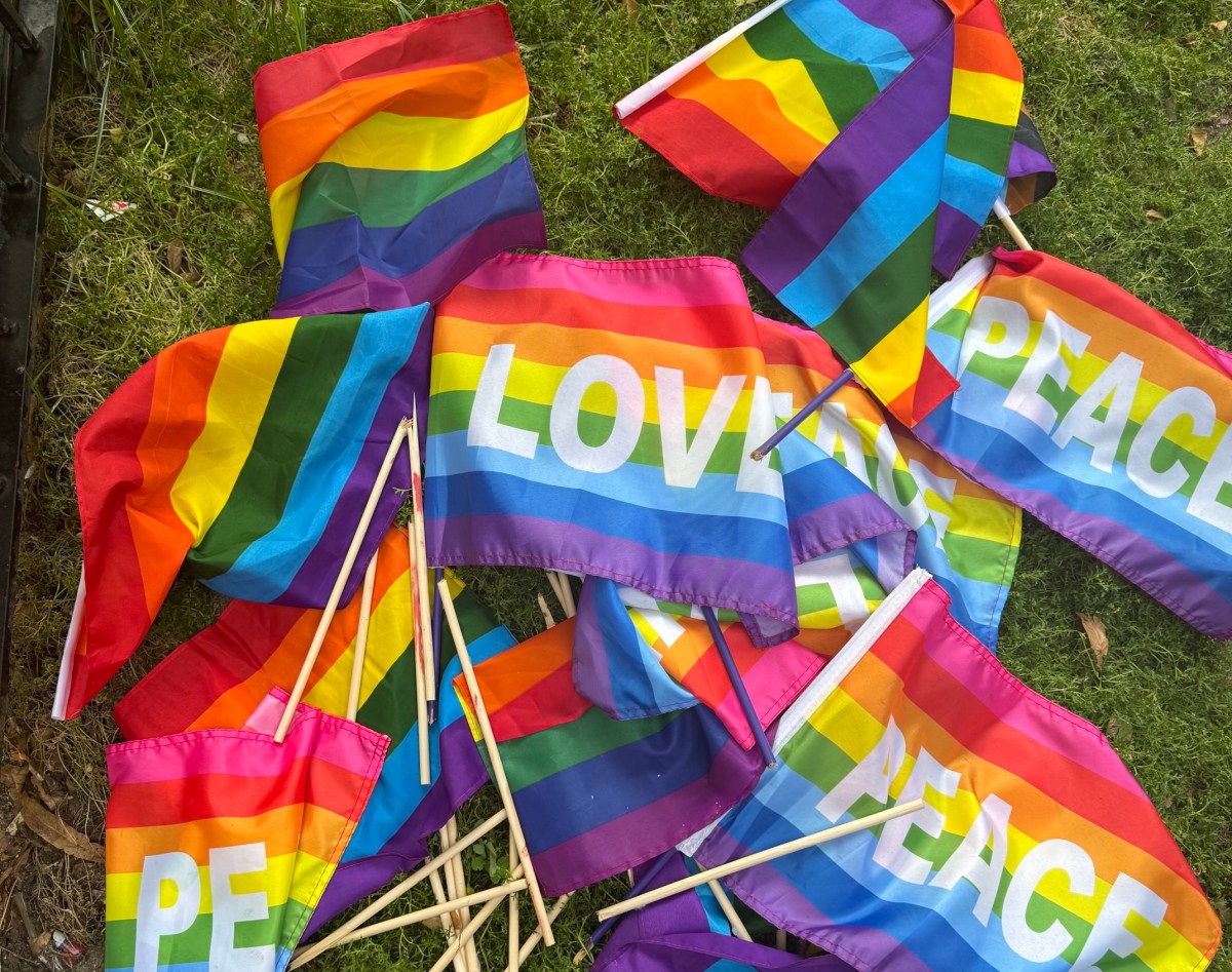 The damaged Rainbow Flags on the morning of June 14.