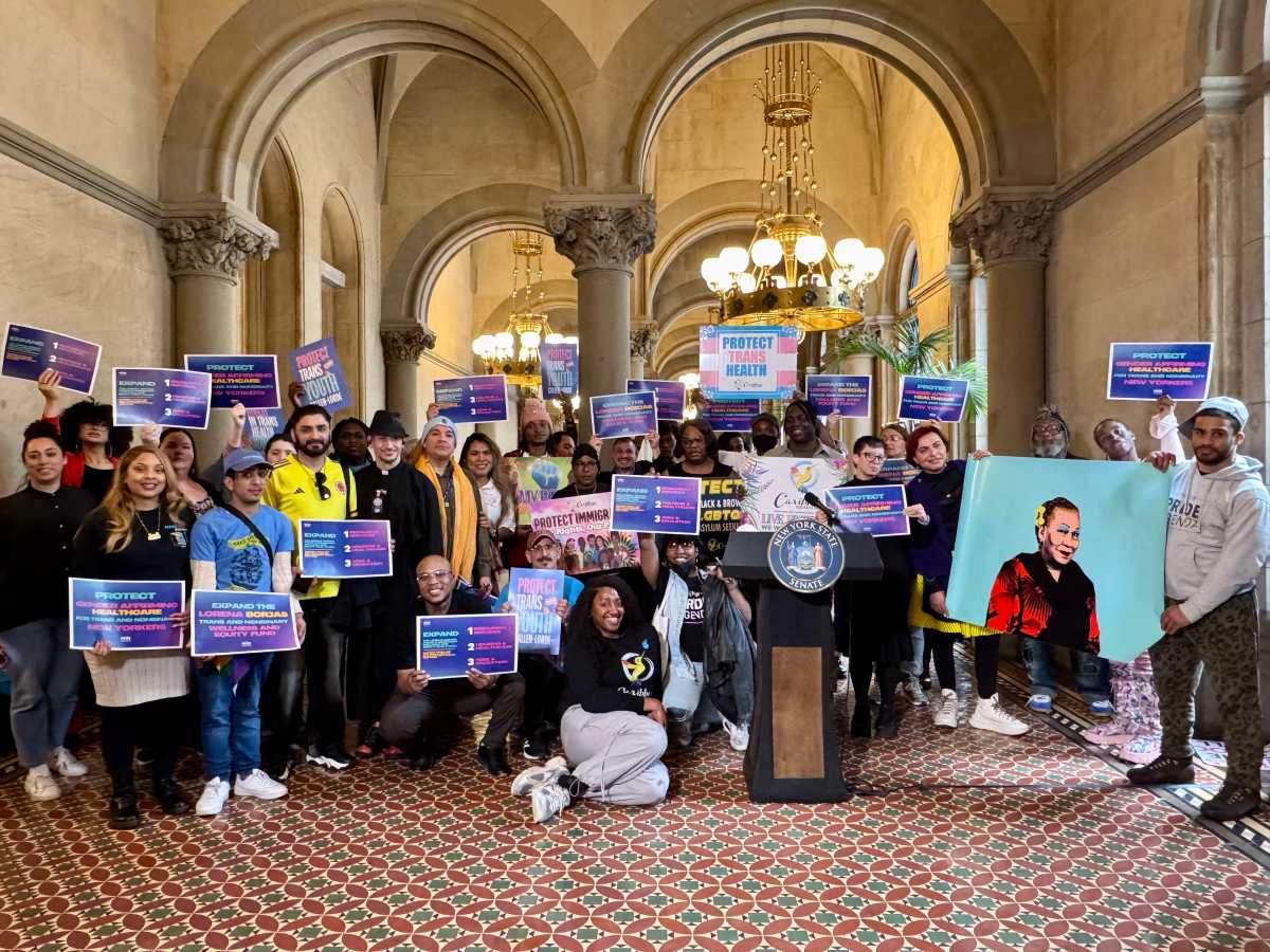 Advocates at the State Capitol in Albany.
