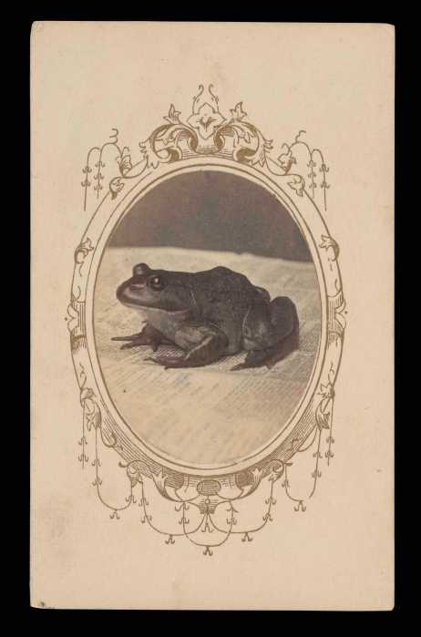 "A Politician" (1865-1867).