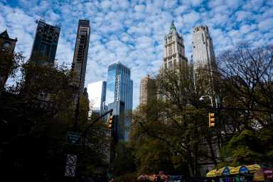 Buildings in City Hall Park in the Civic Center area of Lower Manhattan in New York City, U.S., November 5, 2025.