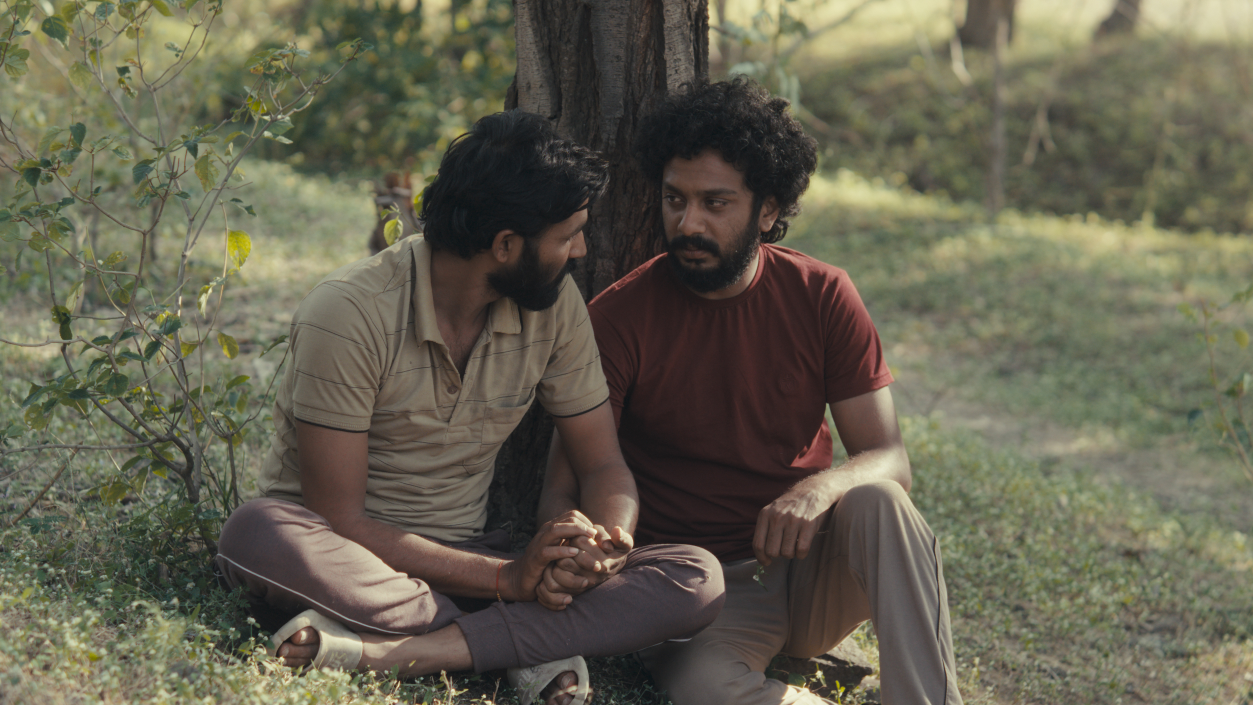 “Cactus Pears,” directed by Rohan Kanawade, opens Nov. 21 at the IFC Center.