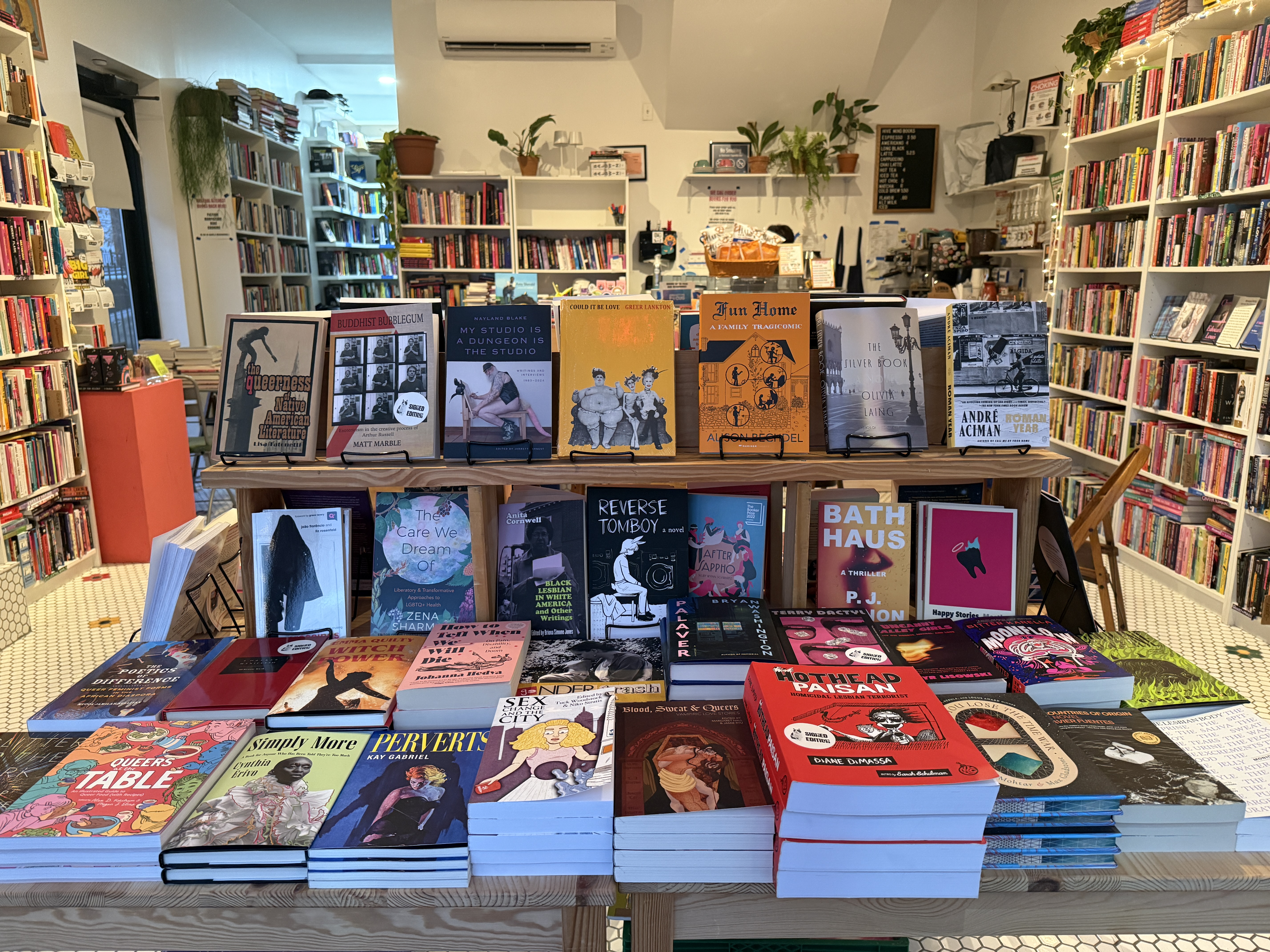 Books on display at Hive Mind Books, a queer-focused bookstore in Brooklyn.