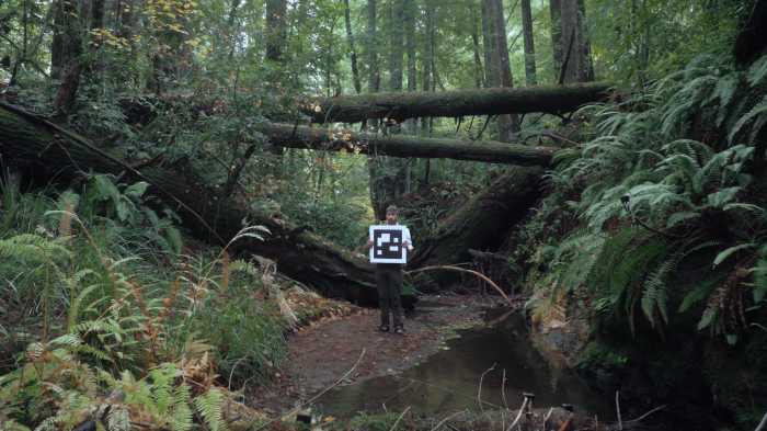 Queer director G. Anthony Svetek's documentary, “Humboldt USA," demonstrates the long-term impact of colonialism on this country’s environment.